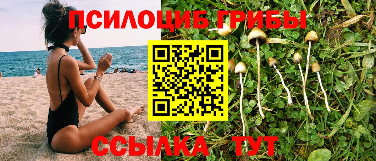 Галлюциногенные грибы Magic Shrooms Иваново